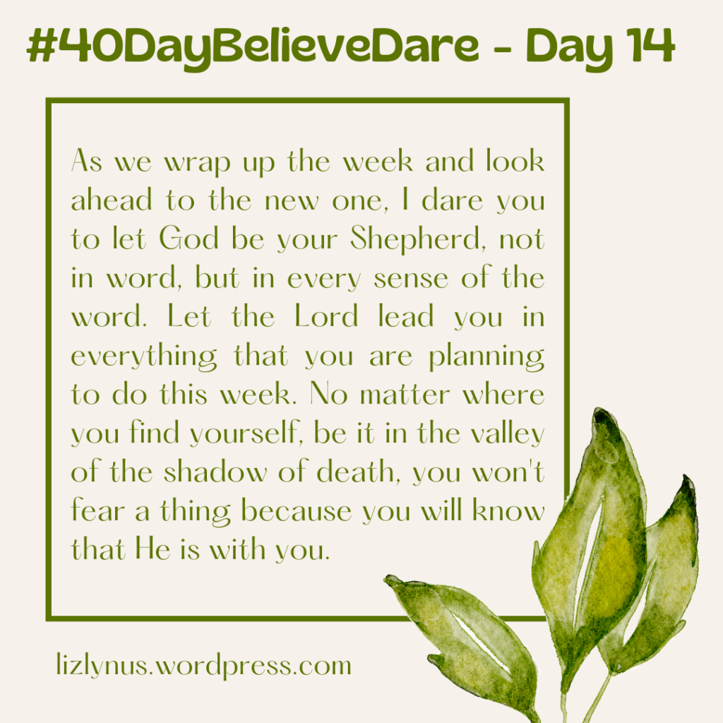 Day 14: The Lord Is Your Shepherd